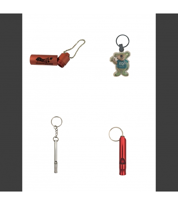 Silicone Wristband+Square Aluminum Sheet+Doming Logo Offset Printing