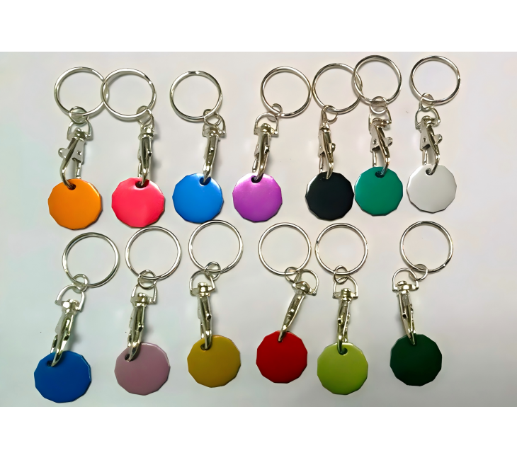 12 Sided Shape Plane Coin+Snap Hook