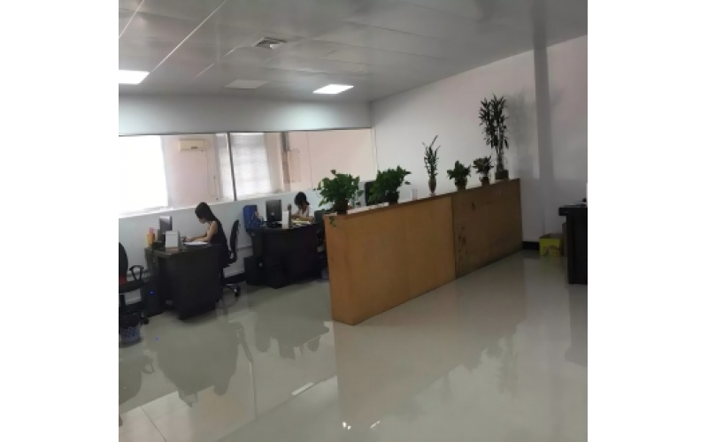 Company Production Preview